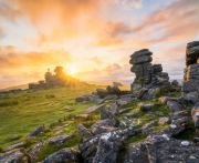 Great-Staple-Tor-Anglia